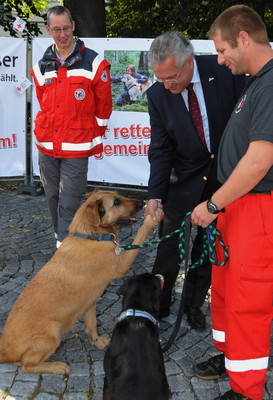 Pers�nliche Begr��ung zweier Rettungshunde des Bayerischen Roten Kreuzes am Tag der Deutschen Einheit in M�nchen. (Oktober 2012)